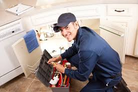 Best Gas Line Installation and Repair  in Millport, AL